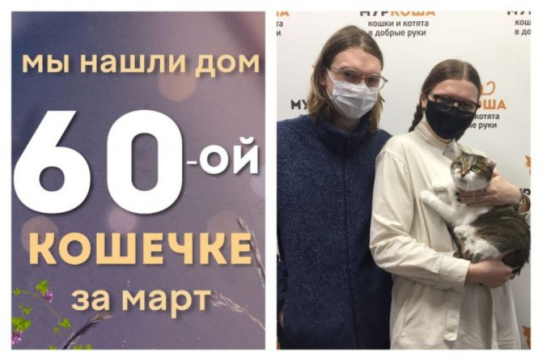 Милая Амора отправилась в домашнюю и счастливую жизнь!