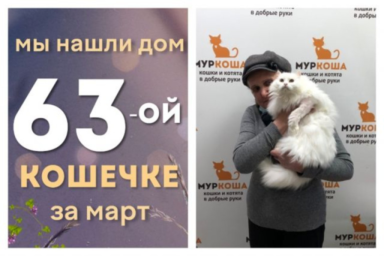 Кошечка Молокошка начинает жизнь с чистого листа!