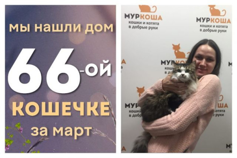 У кошечки Моншер появилась заботливая хозяйка!