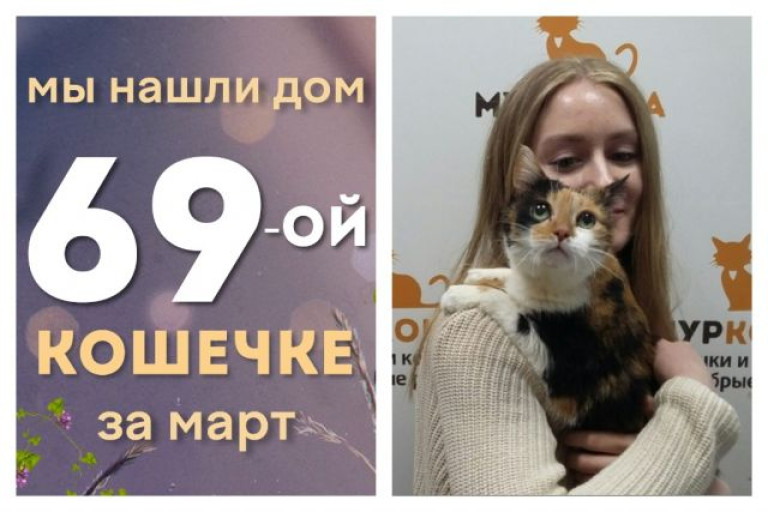 Кошечка Зофи начинает счастливую домашнюю жизнь!