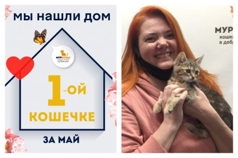 Малышка Фамке нашла дом за одну неделю!
