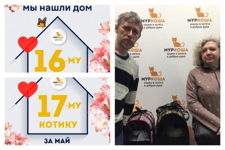 Котики Альфи и Винкс уезжают в один дом!
