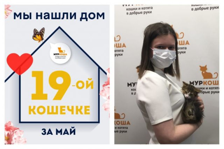 Кошечка Брусничка начинает домашнюю жизнь!