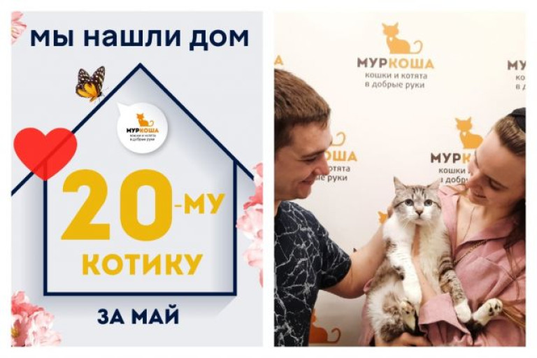 Пятилетний котик Тюдор встретил свою семью!