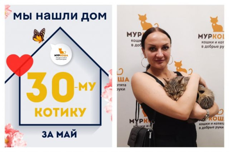 Котик Вечерок нашел дом за один месяц!