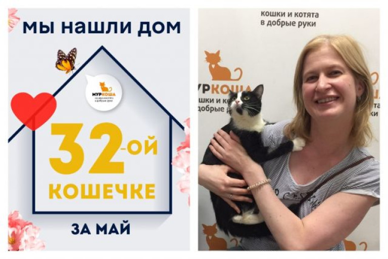 Милашка Киви стала домашней кошечкой!