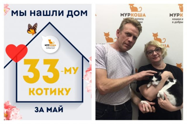 Котик Чупачупс уезжает в новый дом!