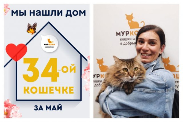 Кошечка Лила отправилась домой!