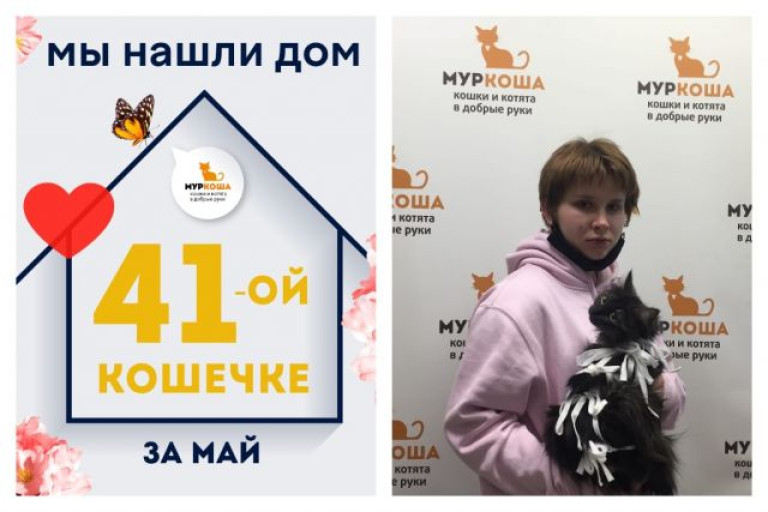 Кошечка Неллис нашла новый дом за две недели!