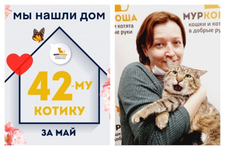 У котика Пилюлькина теперь есть дом и семья!