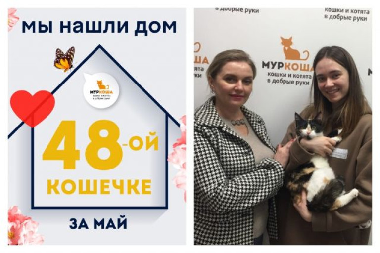 У годовалой кошечки Охры теперь есть дом и семья!