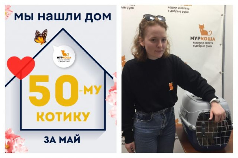 Котик Гудвин отправляется в счастливую домашнюю жизнь!