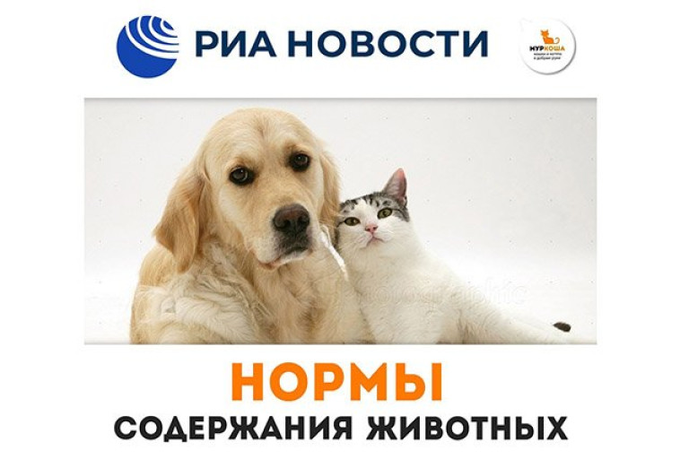 В Госдуму внесли законопроект о содержании домашних животных