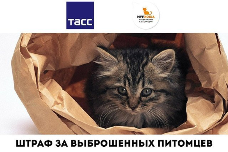 Штраф за выброшенного питомца - 30 000р. Новый законопроект