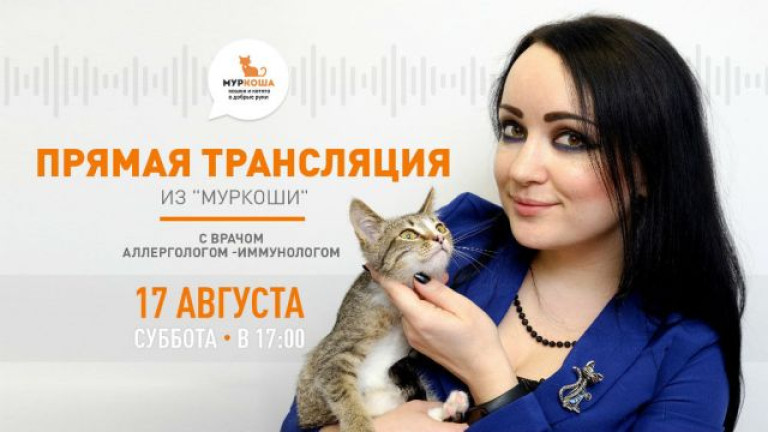Трансляция, которую мы ждали!