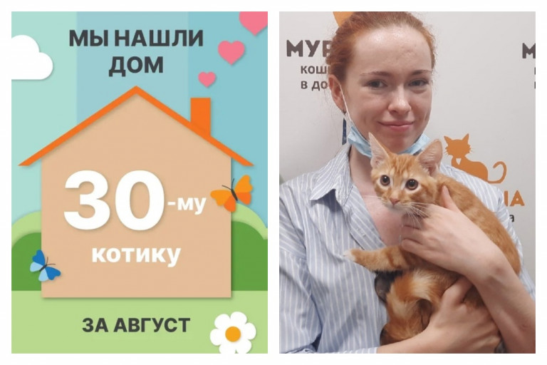 Котёнок Инвайт стал домашним и любимым!