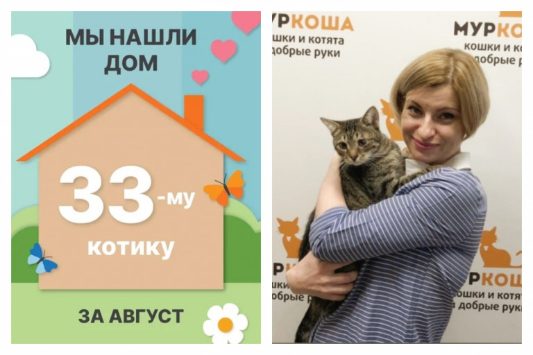 Котик Ляпкин начинает домашнюю жизнь в самых надёжных руках!
