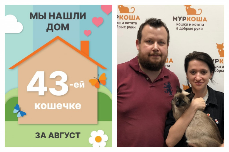 Кошечка Лагуна нашла дом за две недели!