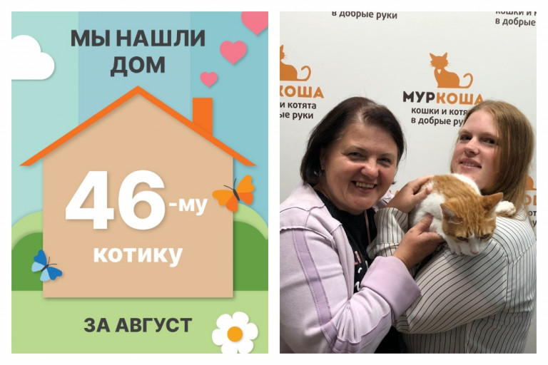 Десятилетний Твикс уезжает в новый дом!