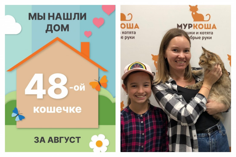 Кошечка Гишка стала частью большой семьи!