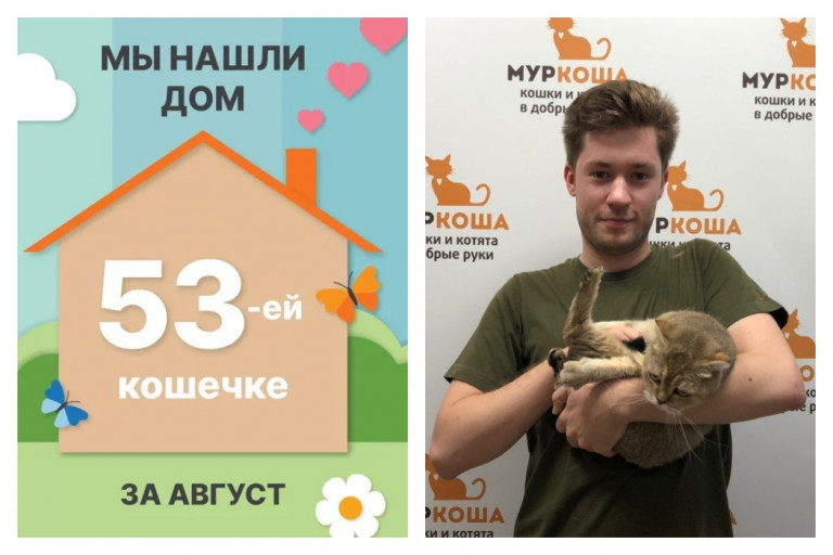 Кошечка Китюпа встретила ответственного хозяина!