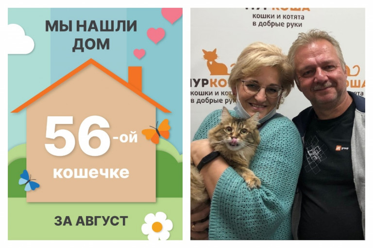 Кошечка Лаура стала домашней любимицей!
