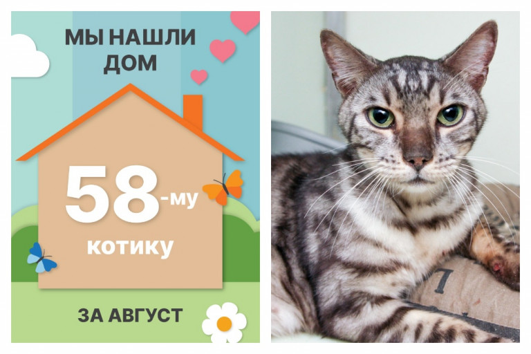 Очаровательный Альбус начинает новую жизнь!