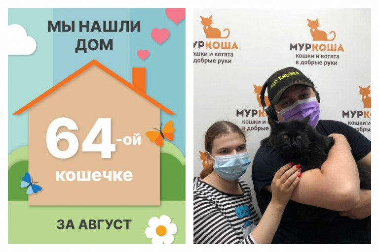 Кошечка Икорка стала домашней любимицей!