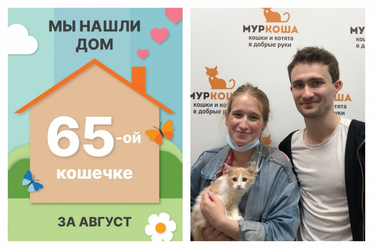 Крошка Зукко стала домашней и любимой!