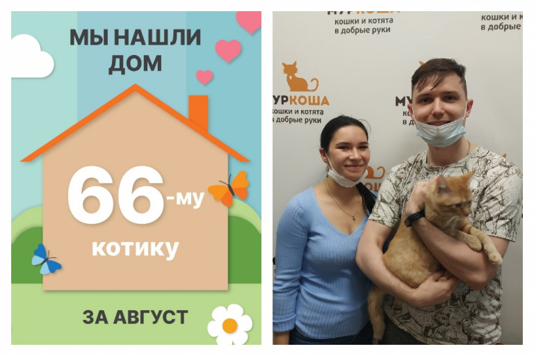 Солнечный Энсо стал домашним котиком!