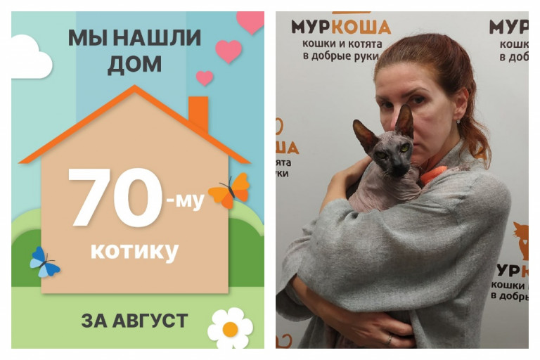 Четырнадцатилетний Хеопс нашел новый дом за один месяц!