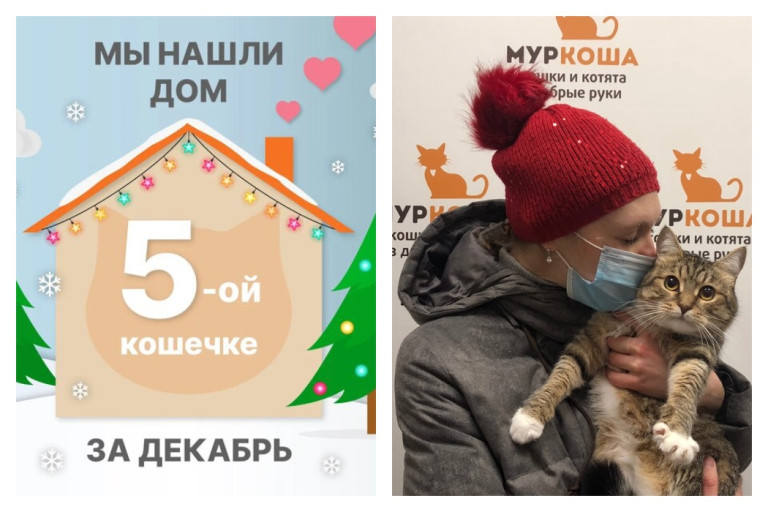 Кошечка Мирабель начинает счастливую домашнюю историю!