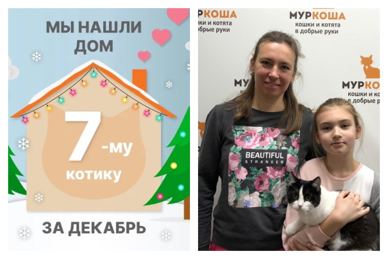 У котика Фобо теперь есть дом и семья!