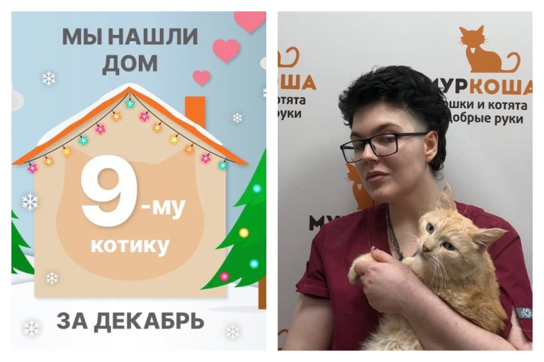 Плюшевый Златан уезжает в новый дом!