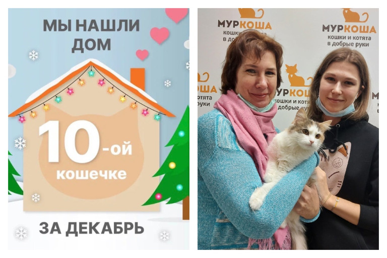 Ласковая Николле обрела настоящую семью!