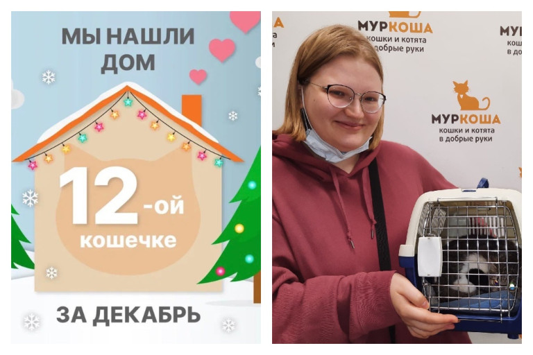 Уезжает в новый дом прекрасная Тира!