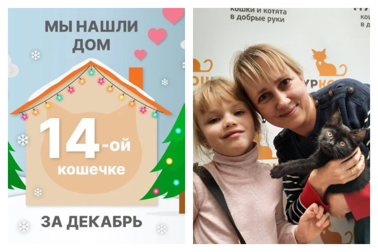 Милая кошечка Чунга отправилась домой спустя две недели!