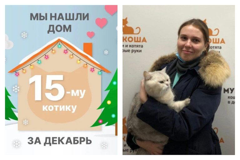 Котик Яникс нашёл свой новый дом всего за месяц!