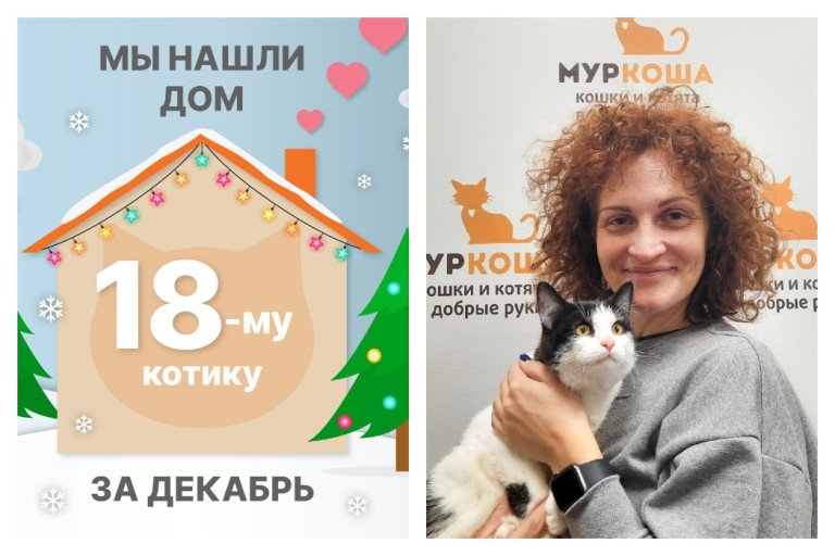 Котик Барбаросс встретил надежную хозяйку!