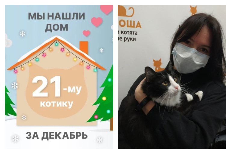 Котик Труффальдино встретил чудесную хозяйку!