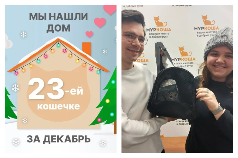 Кошечка Нева начинает счастливую жизнь дома!
