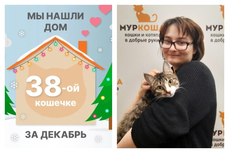 Очаровательная кошечка Катрэна отправилась домой!