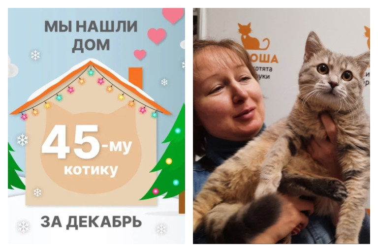 Котик Эш стал частью прекрасной семьи за десять дней!