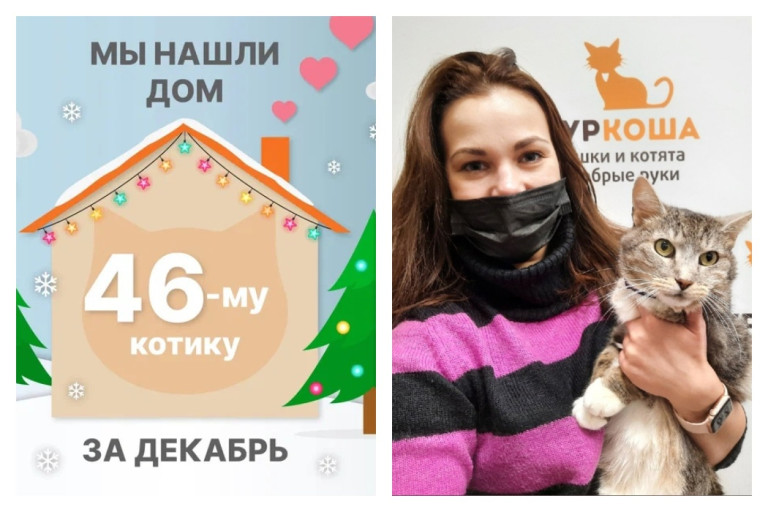Шестилетний котик Тихоша отправился в новый дом!