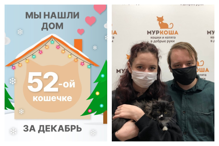 Малышка Шэйла стала домашней кошечкой!