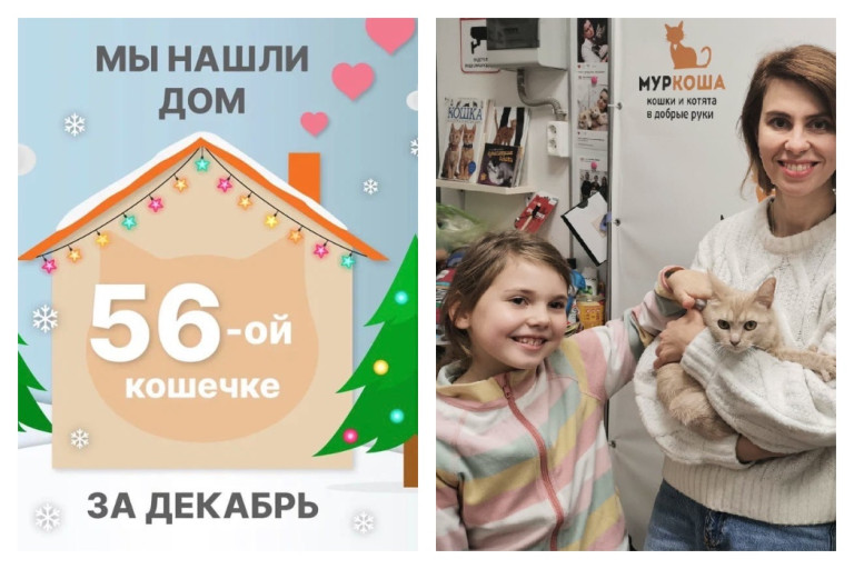 Спустя два месяца в новую жизнь уехала кошка Гламурка!