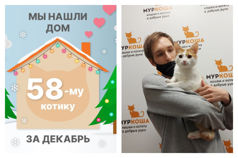 Котик Фотон начинает новую жизнь!