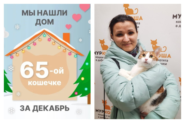 Общительная кошечка Козевятка начинает домашнюю жизнь!