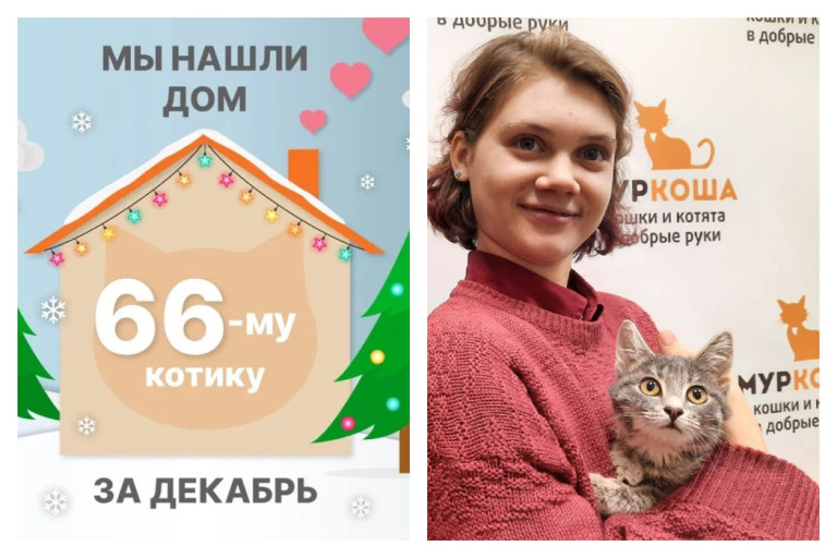 Котёнок Хиссарик отправился домой спустя два месяца!