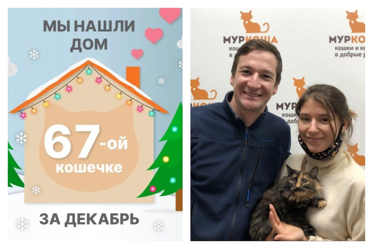 Кошечка Блюза стала домашней всего за месяц!